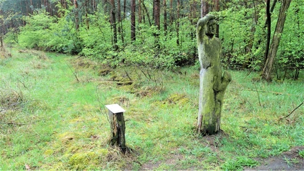 Infopunkt vor 3,2 Millionen Jahren
