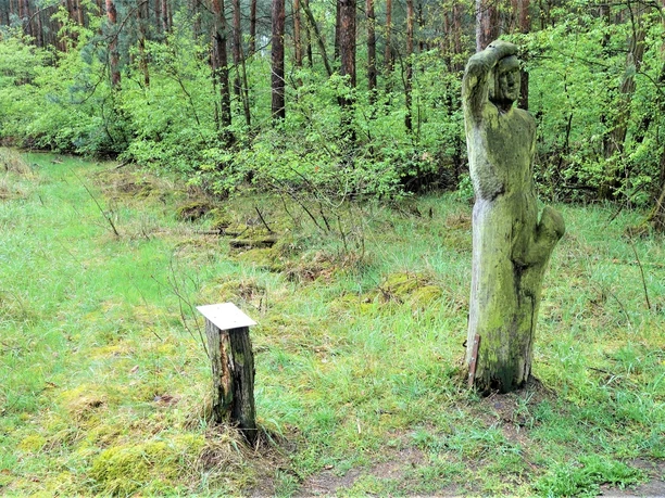 Infopunkt vor 3,2 Millionen Jahren