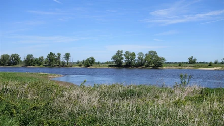 Die Elbe bei Heinrichsberg