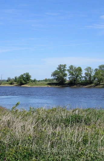 Die Elbe bei Heinrichsberg