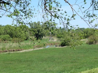 Die Ohre kurz vor der Mündung in die Elbe