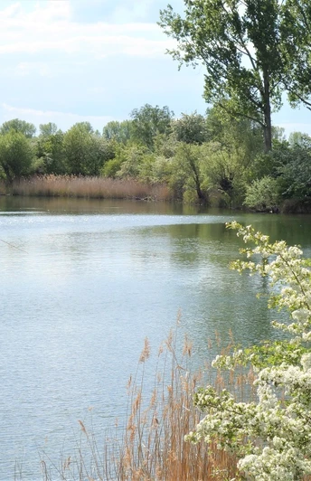 Steinbruchsee Barleben