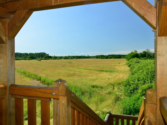Blick auf die Feuchtwiesendes Drömlings