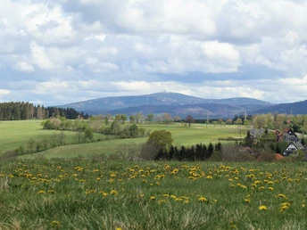 Blick zum Brocken von der Bockswieser Höhe