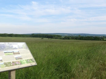 Landschaftsschutzgebiet Schandelaher Wohld