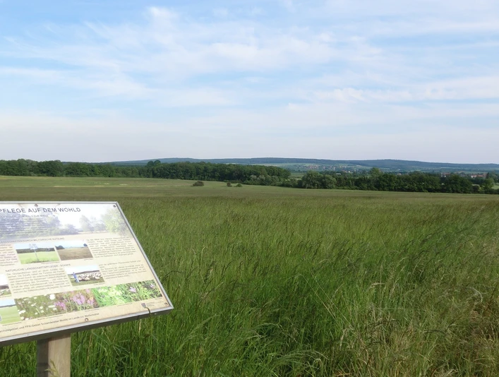Landschaftsschutzgebiet Schandelaher Wohld