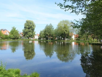 Kitzsteinteich in Ilsenburg