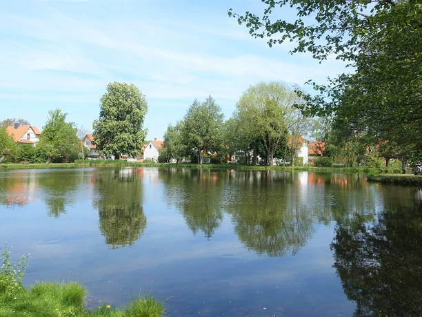 Kitzsteinteich in Ilsenburg