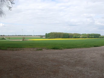 Blick von der Veilchenhöhe