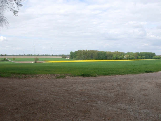 Blick von der Veilchenhöhe