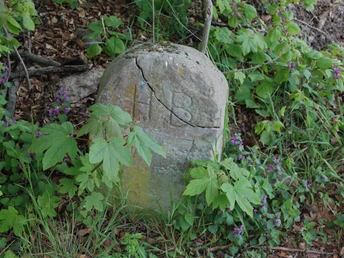 Grenzstein am Lahwald KR Hannover HT Braunschweig