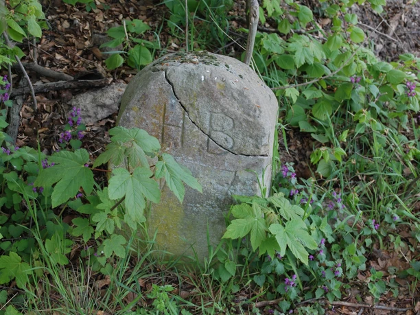 Grenzstein am Lahwald KR Hannover HT Braunschweig