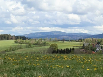 Blick zum Brocken von der Bockswieser Höhe