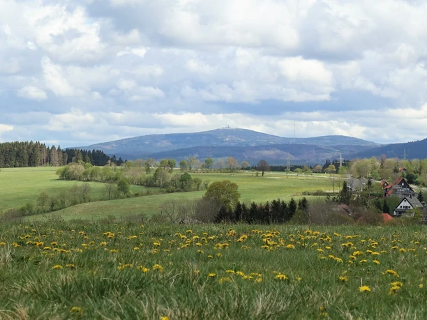 Blick zum Brocken von der Bockswieser Höhe