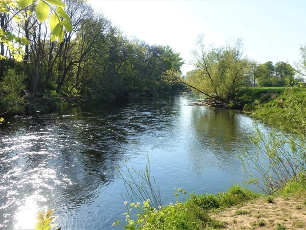 Innerstemündung bei Sartsedt