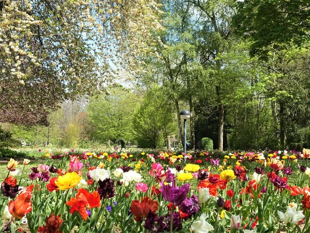 Kurpark Bad Salzdetfurth