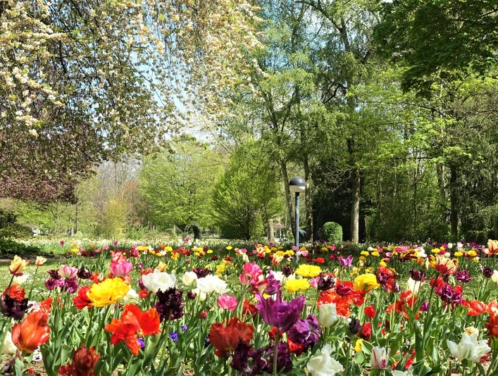 Kurpark Bad Salzdetfurth