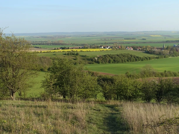 Blick ins Große Bruch