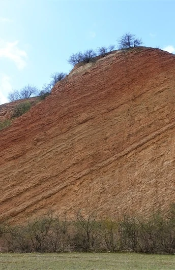 Kalksteinbruch Hoppenstedt