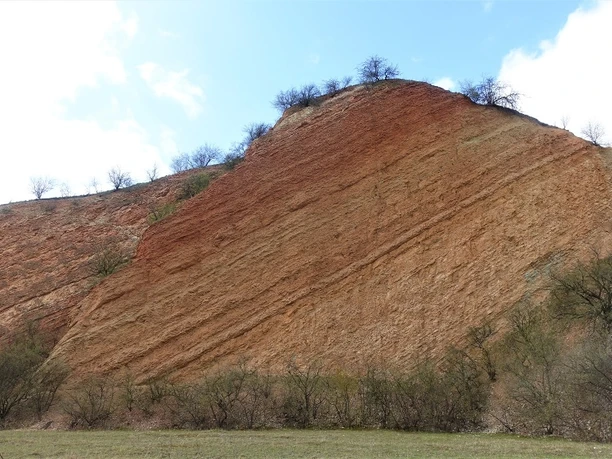 Kalksteinbruch Hoppenstedt