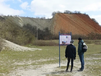 Info Kalksteinbruch Hoppenstedt