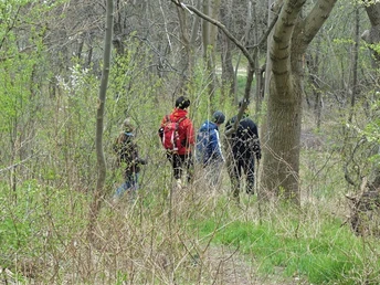 Naturnahe Pfade im Kleinen Fallsetin