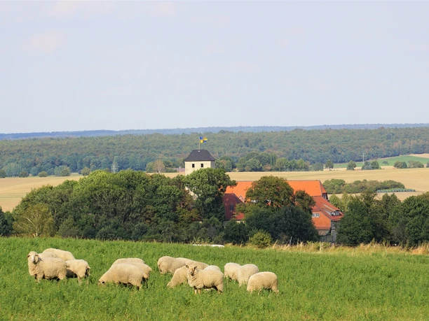 Blick auf die Burg Warberg