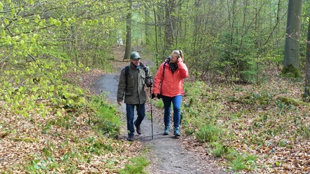 Auf dem Naturpfad