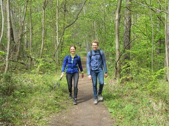 Auf dem Philosophenweg