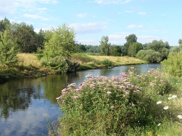 Die Oker bei Vienenburg