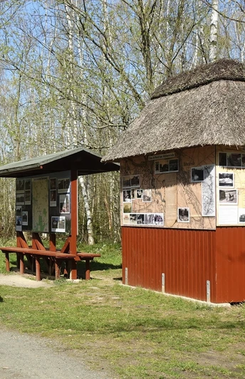 Das Altfeld bei Abbenrode