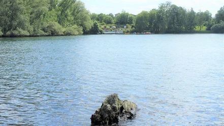 Blick auf Vienenburger See und Rosarium