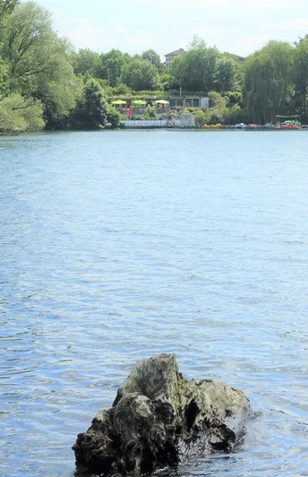 Blick auf Vienenburger See und Rosarium