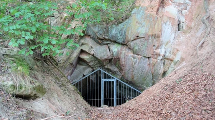 Waldmänneckenhöhle