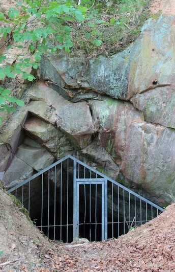 Waldmänneckenhöhle