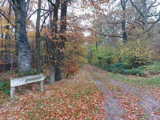 Grenzmauer bei Rade-Wittingen