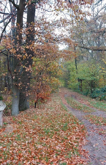 Grenzmauer bei Rade-Wittingen