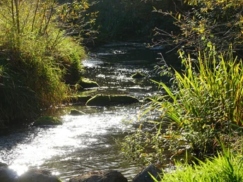Schunteraue in Ochsendorf