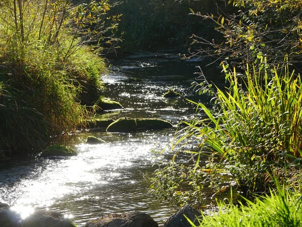 Schunteraue in Ochsendorf