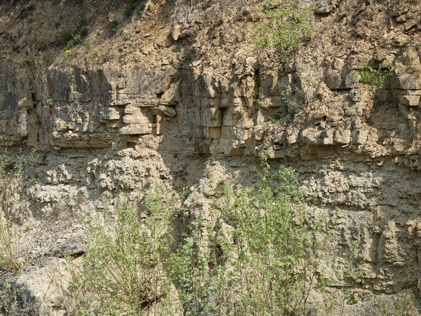 Steinbruchwand an der Nordkante