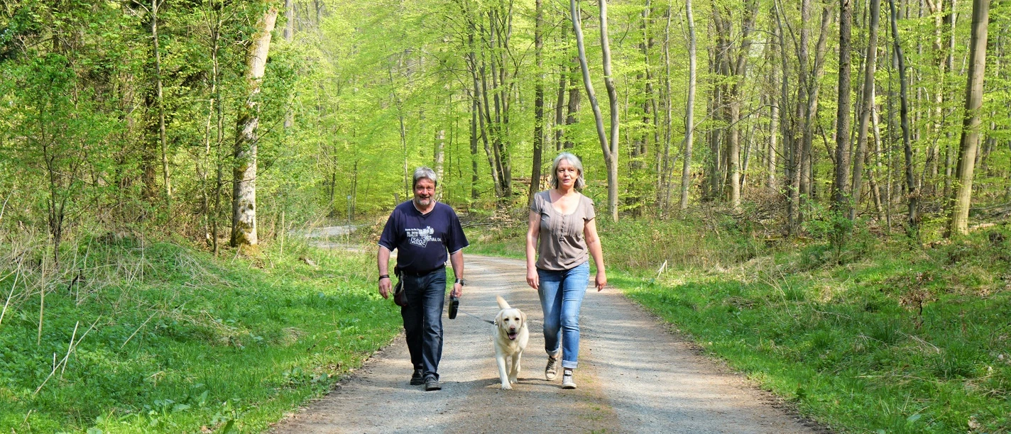 Unterwegs auf dem Kammerholz-Rundweg