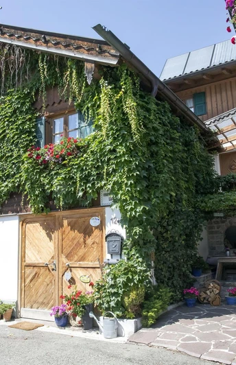 Haus Sonnleiten 12 a