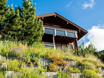 DSC_5540_fotoweb15_riederalp-fewo