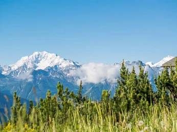 DSC_5543_fotoweb15_riederalp-fewo