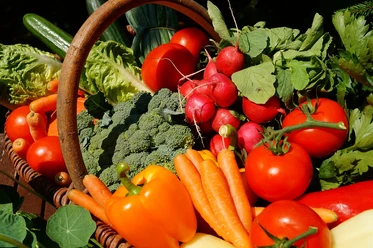 Wochenmärkte Frisches Gemüse im Korb: Tomaten, Radieschen, Brokkoli, Karotten und Paprika leuchten in bunten Farben.