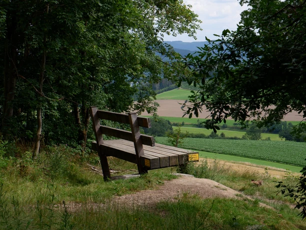 Riesen Bank bei Eversberg 1 © Jessica Rickert.jpg