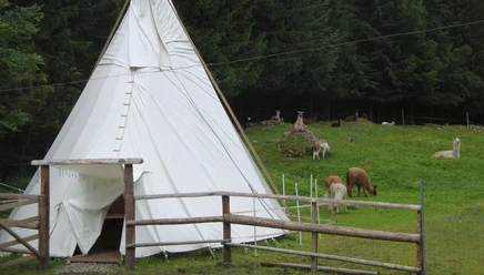 Übernachten Sie auf der Alp im Tipi
