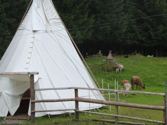 Übernachten Sie auf der Alp im Tipi