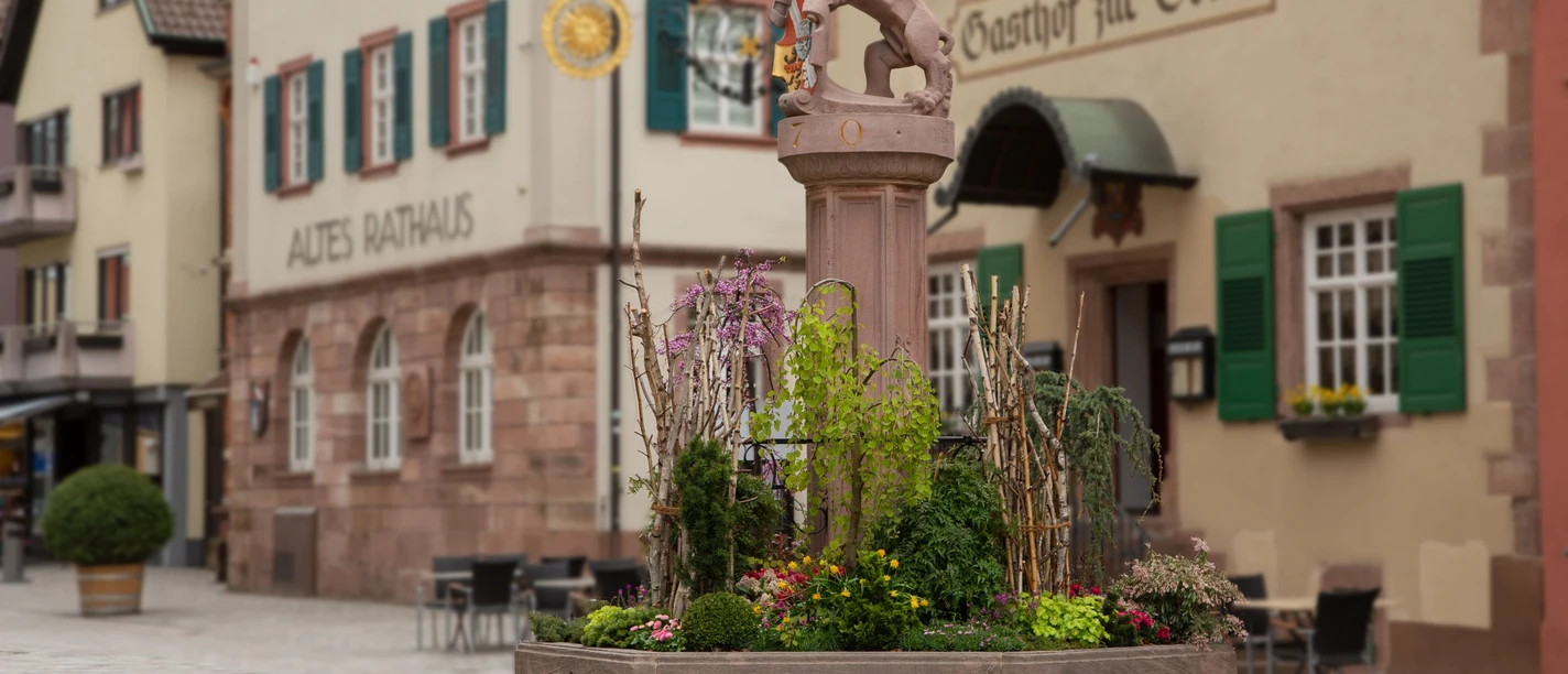 Löwenbrunnen_Joachim Duttenhöfer