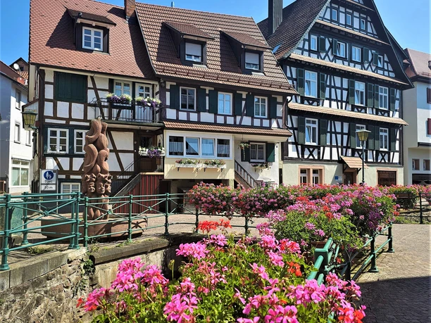 Bachanlage und Mühlbach